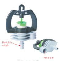 Béc Nhỏ Đuôi 6Ly Có Giờ
