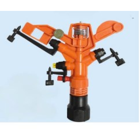 Béc Cánh Đập Trung Thổ Nhĩ Kỳ Ren Trong 34