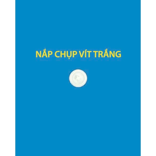 Nắp Vít Hưng Thịnh