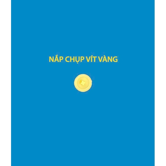 Nắp Vít Hưng Thịnh
